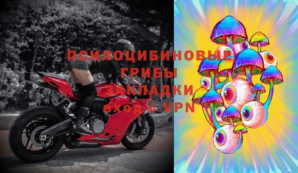 МДПВ Волосово