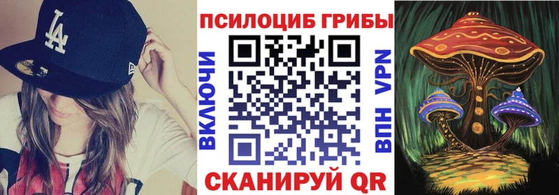 Галлюциногенные грибы Psilocybe  Невьянск 